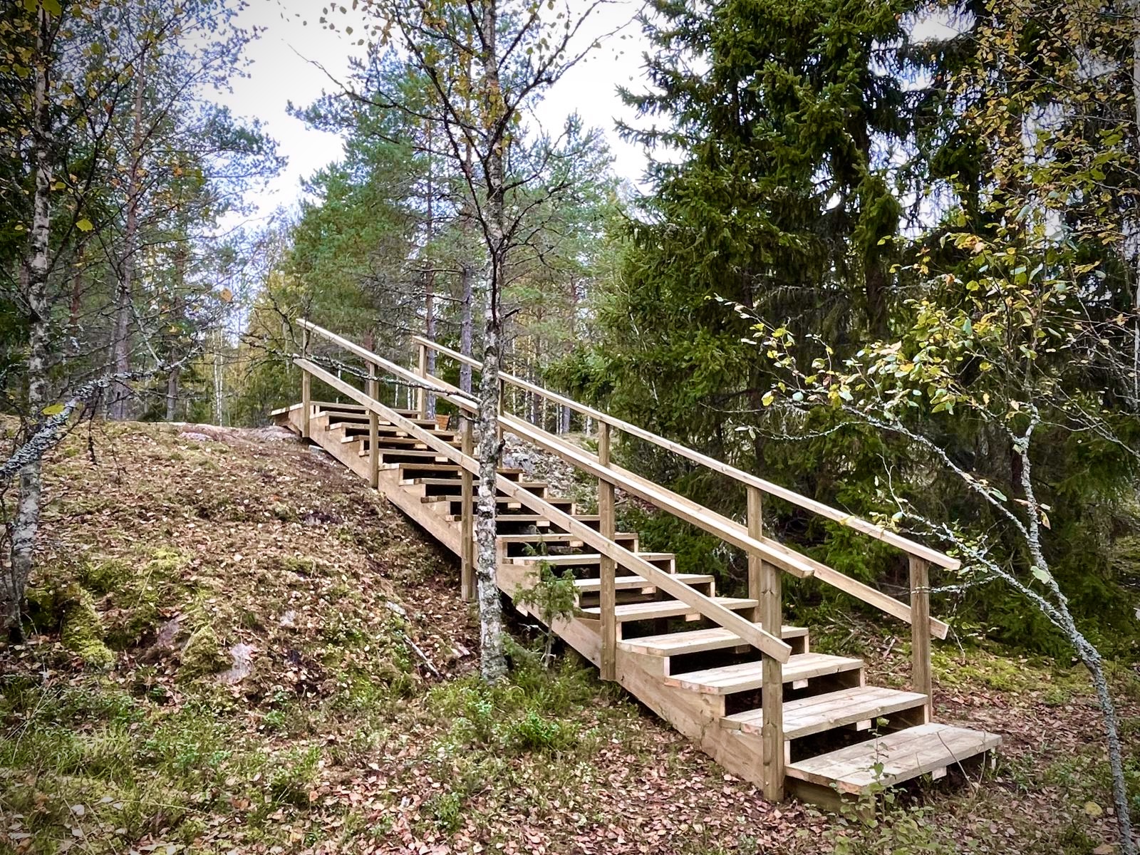 Naantalin Koirametsä, kuntoportaat